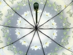 Зонт женский Zicco, арт.2022_product